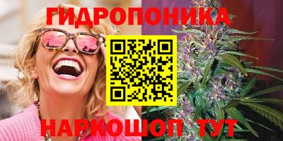 гашиш Кимры