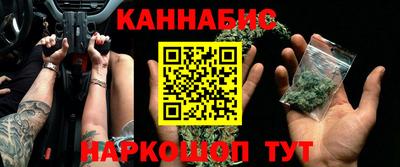 стаф Кингисепп