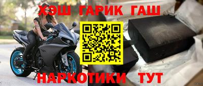 стаф Кингисепп