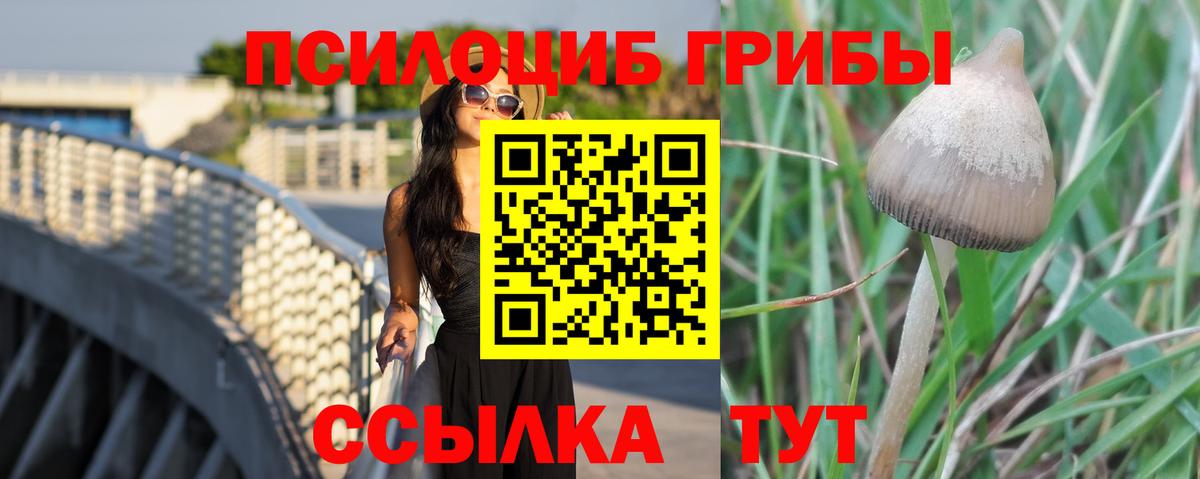 Галлюциногенные грибы Magic Shrooms  Вход с VPN  Кувандык 